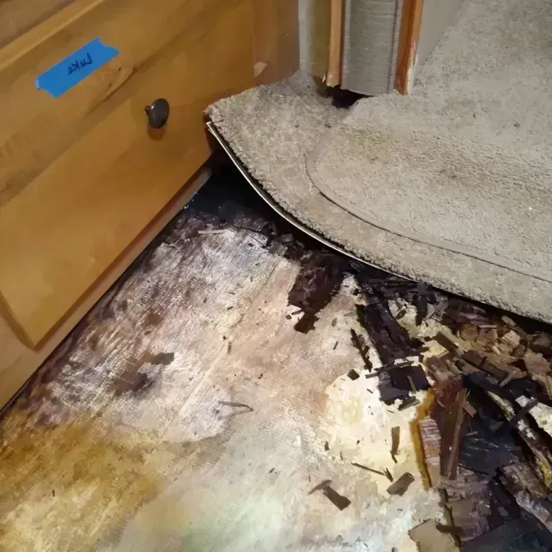 Wood Floor Water Damage in Greenville, MI